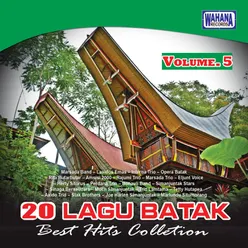 Best Hits Collections, Vol. 5
