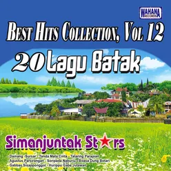 Best Hits Collection, Vol. 12