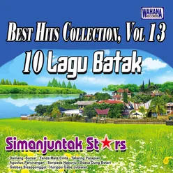 Best Hits Collection, Vol. 13