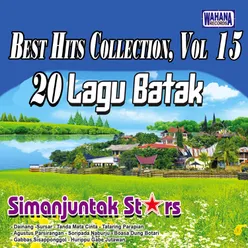 Best Hits Collection, Vol. 15