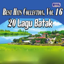 Best Hits Collection, Vol. 16