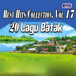 Best Hits Collection, Vol. 17