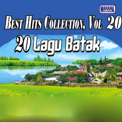 Best Hits Collection, Vol. 20
