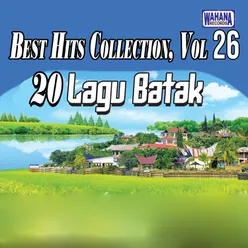 Best Hits Collection, Vol. 26