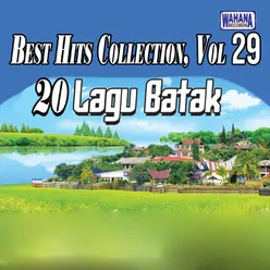 Best Hits Collection, Vol. 29