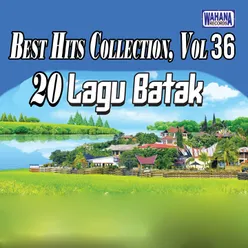 Best Hits Collection, Vol. 36