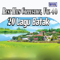 Best Hits Collection, Vol. 40