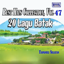 Best Hits Collection, Vol. 47