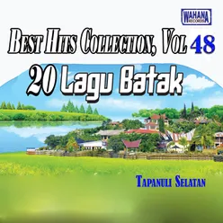 Best Hits Collection, Vol. 48