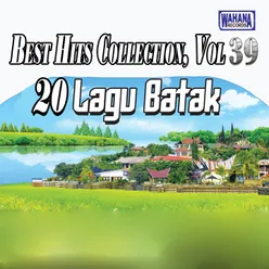 Best Hits Collection, Vol. 39