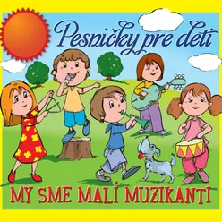 My sme malí muzikanti