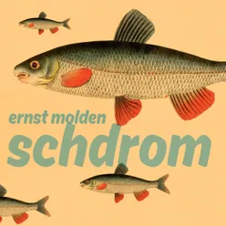 Schdrom