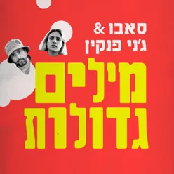 מילים גדולות