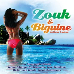 Zouk & Biguine-Ambiance tropicale