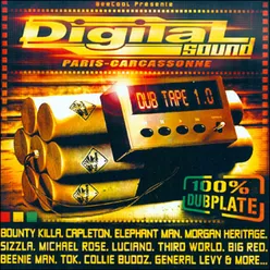 Digital Sound Dub Tape 1.0-100% Dubplate