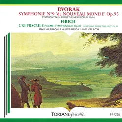 Symphonie No. 9 en mi mineur, Op.95: I. Adagio. Allegro molto