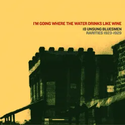 I'm Going Where the Water Drinks Like Wine (18 Unsung Bluesmen)-Rarities 1923-29