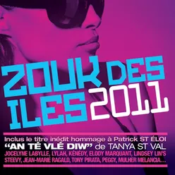 Zouk des iles 2011-16 French Caribbean Hits