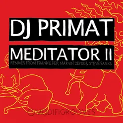 Meditator II-Steve Banks Remix