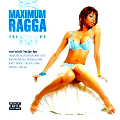 Maximum Ragga, Vol. 4