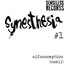 Synesthesia #1: Olfacoception