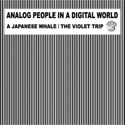 A Japanese Whale the Violet Trip
