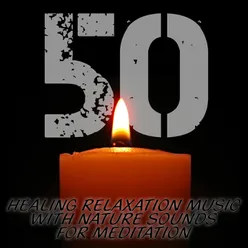 50 Healing Relaxation Music With Nature Sounds for Meditation