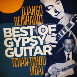 Best of Gipsy Guitar