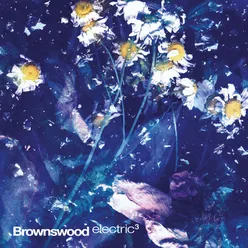 Brownswood Electric 3