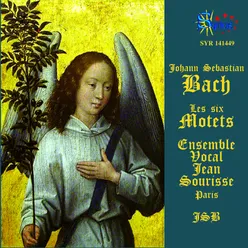 Jesu, meine Freude, BWV 227: No. 4, Denn das Gesetz