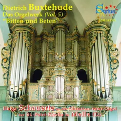 Intégrale Orgue, Vol. 5 Bitten und Beten