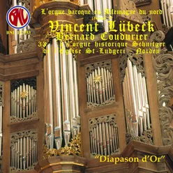 Vincent Lübeck: Intégrale orgue L'orgue baroque en Allemagne du nord, Vol. 1