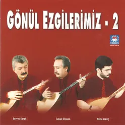 Gönül Ezgilerimiz, Vol. 2