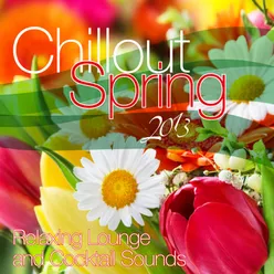 Chillout Spring 2013