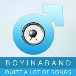 Skyline-Boyinaband Remix