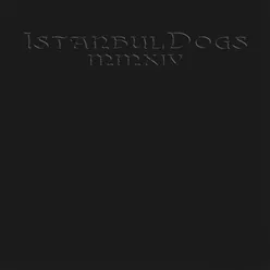 IstanbulDogs MMXIV