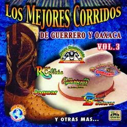 Los Mejores Corridos de Guerreo y Oaxaca, Vol. 3