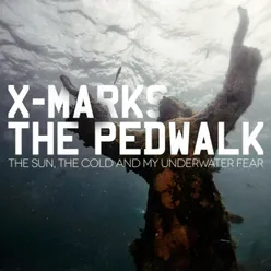 The Sun, the Cold and My Underwater Fear