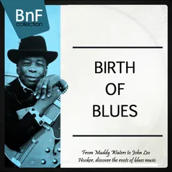 Birth of Blues-From Muddy Waters to John Lee Hooker, Discover the Roots of Blues Music