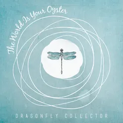 Dragonfly Collector