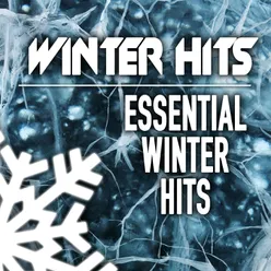Winter Hits-Essential Winter Hits