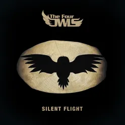 Silent Flight-Instrumental Version