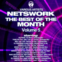 Netswork: The Best of the Month, Vol. 5