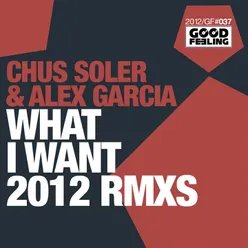 What I Want-2012 Remixes