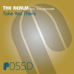 Take You There-The Realm Instrumental Mix