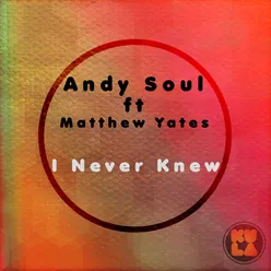 I Never Knew-Audiometrics Stings N Keys Remix