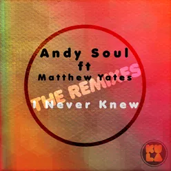 I Never Knew-The Remixes