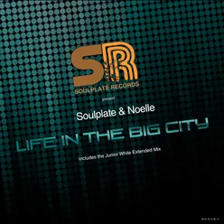 Life in the Big City-Soulplate Redub
