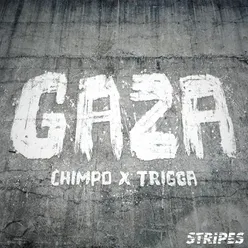 Gaza-Sukh Knight Remix