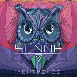 Sonne-Nico Pusch Remix